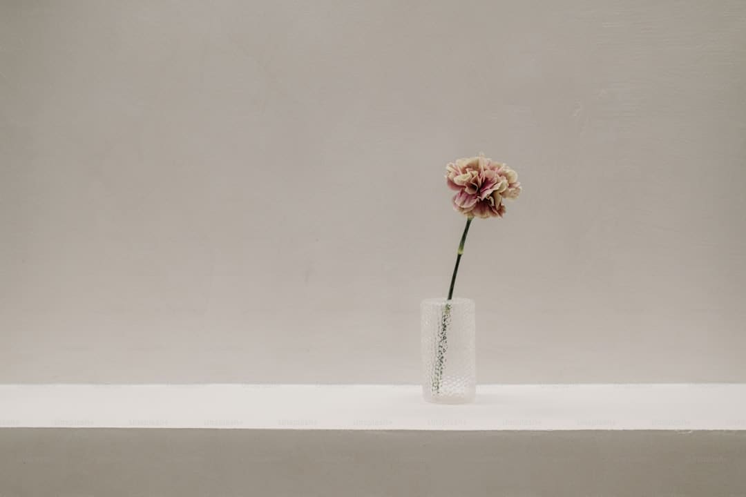 东芝“火箭炮SOUND”破局：独立芯片+三维声场界说高端电视音质新标准